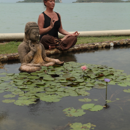 Buddha, Debra, a Pink and Purple Lotus